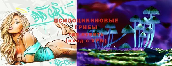 крисы Нефтекумск